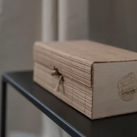 Le Petillat - Design Centre - Ideal Curiste アパート