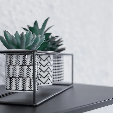 Le Petillat - Design Centre - Ideal Curiste
